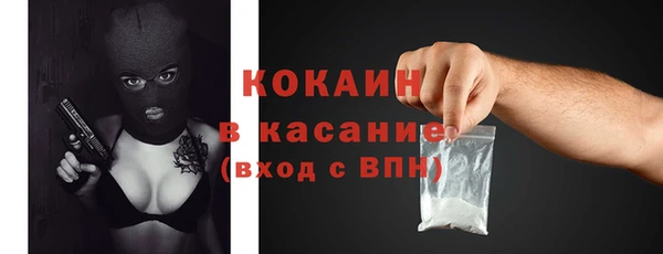 шишки Беломорск