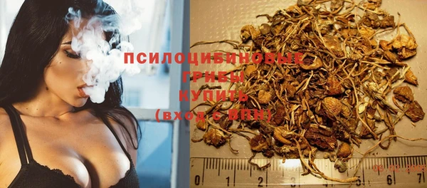 ALPHA-PVP Белокуриха