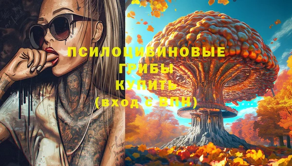 ALPHA-PVP Белокуриха
