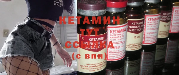 шишки Беломорск