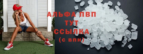 шишки Беломорск
